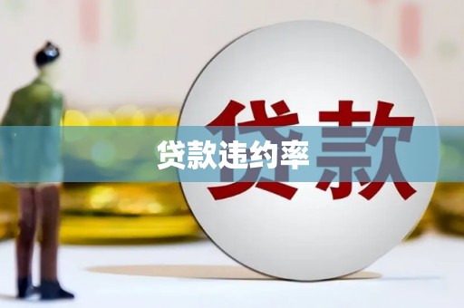怀远贷款违约率