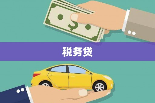 怀远税务贷