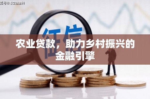 怀远农业贷款，助力乡村振兴的金融引擎