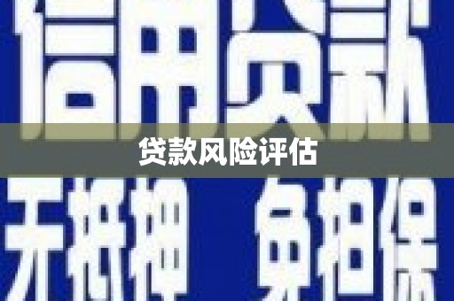 怀远贷款风险评估