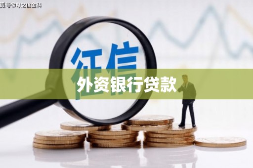 怀远外资银行贷款