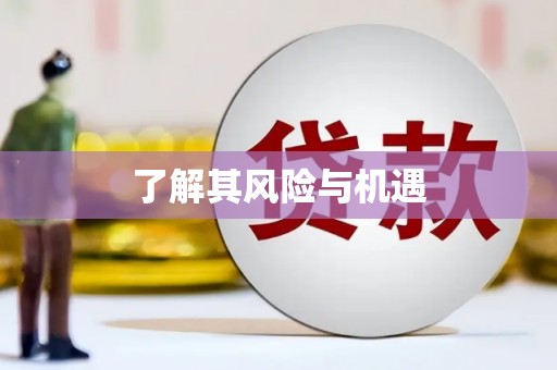 怀远了解其风险与机遇