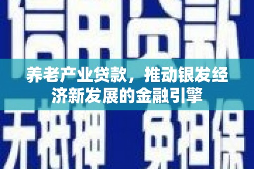 怀远养老产业贷款，推动银发经济新发展的金融引擎