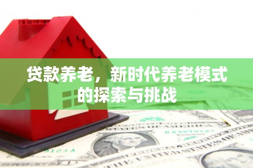 怀远贷款养老，新时代养老模式的探索与挑战