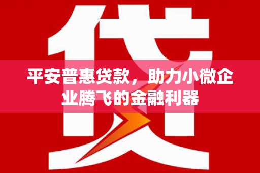 怀远平安普惠贷款，助力小微企业腾飞的金融利器