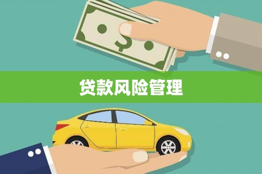怀远贷款风险管理