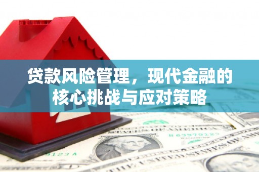 怀远贷款风险管理，现代金融的核心挑战与应对策略
