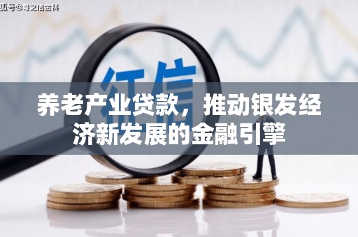 怀远养老产业贷款，推动银发经济新发展的金融引擎
