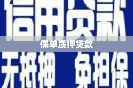 怀远保单质押贷款