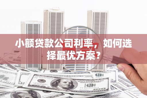 怀远小额贷款公司利率，如何选择最优方案？