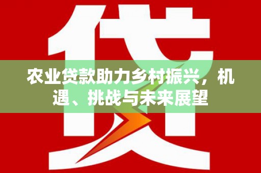 怀远农业贷款助力乡村振兴，机遇、挑战与未来展望