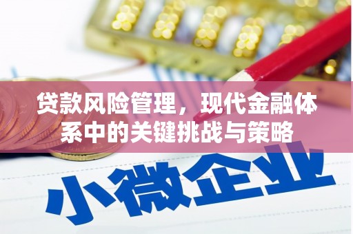 怀远贷款风险管理，现代金融体系中的关键挑战与策略