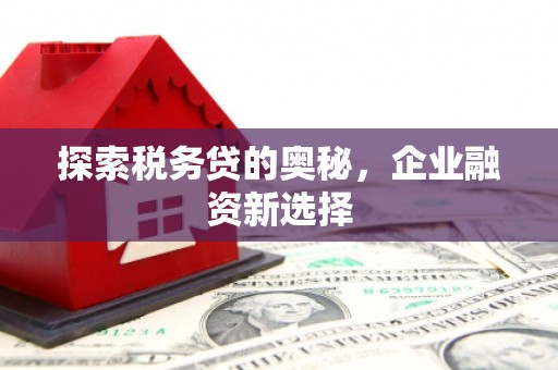 怀远探索税务贷的奥秘，企业融资新选择
