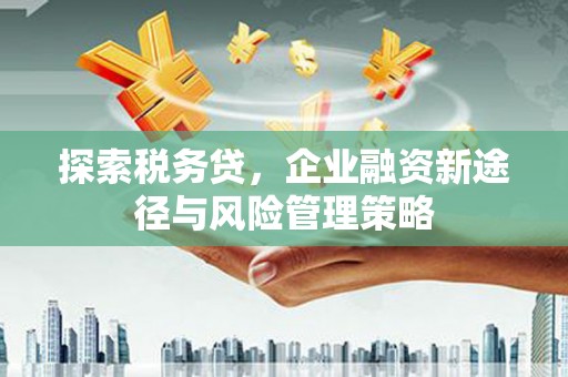 怀远探索税务贷，企业融资新途径与风险管理策略