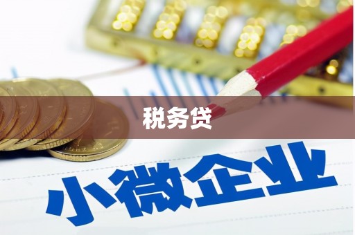 怀远税务贷