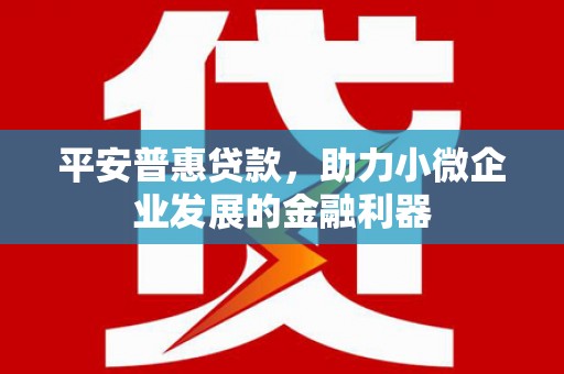 怀远平安普惠贷款，助力小微企业发展的金融利器
