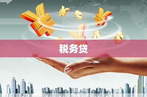 怀远税务贷