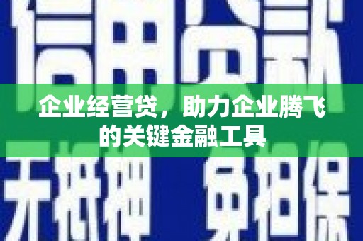 怀远企业经营贷，助力企业腾飞的关键金融工具
