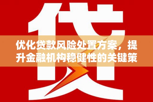 怀远优化贷款风险处置方案，提升金融机构稳健性的关键策略