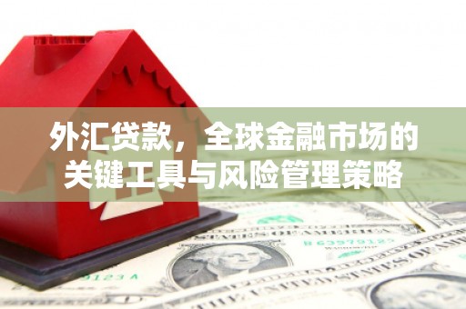 怀远外汇贷款，全球金融市场的关键工具与风险管理策略