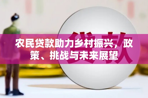 怀远农民贷款助力乡村振兴，政策、挑战与未来展望