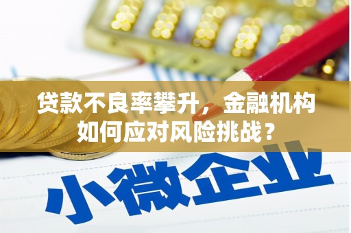 怀远贷款不良率攀升，金融机构如何应对风险挑战？