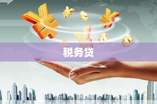 怀远税务贷