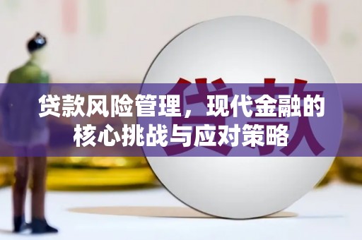 怀远贷款风险管理，现代金融的核心挑战与应对策略