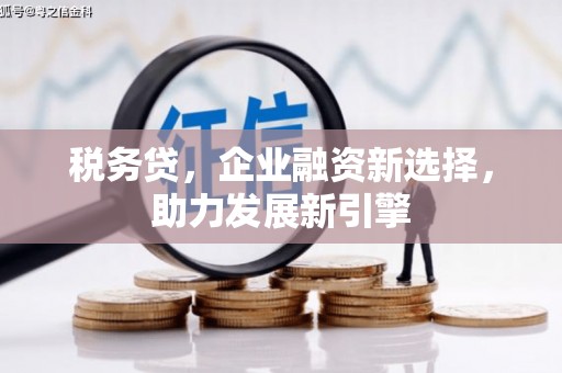 怀远税务贷，企业融资新选择，助力发展新引擎