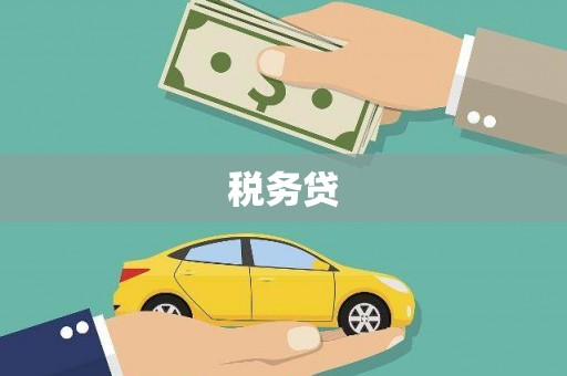 怀远税务贷