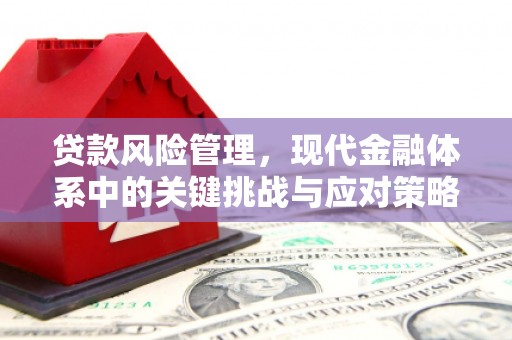 怀远贷款风险管理，现代金融体系中的关键挑战与应对策略