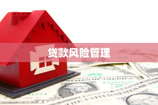怀远贷款风险管理