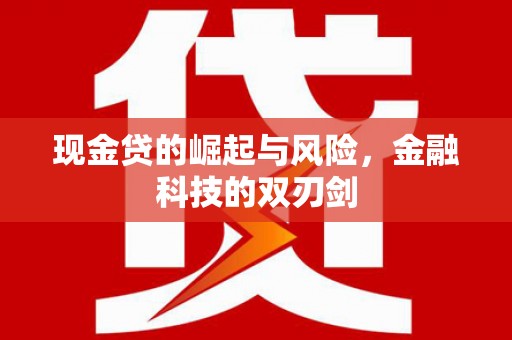 怀远现金贷的崛起与风险，金融科技的双刃剑