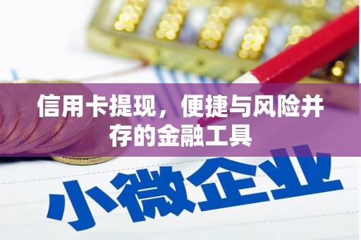怀远信用卡提现，便捷与风险并存的金融工具