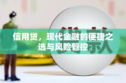 怀远信用贷，现代金融的便捷之选与风险管控