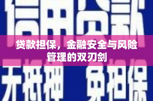 怀远贷款担保，金融安全与风险管理的双刃剑