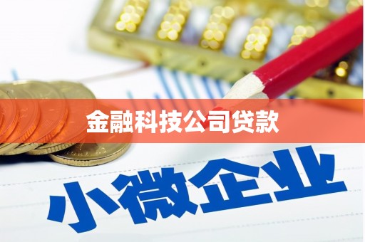 怀远金融科技公司贷款