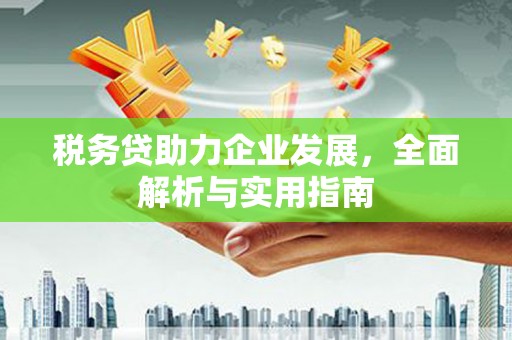 怀远税务贷助力企业发展，全面解析与实用指南