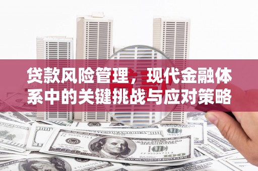 怀远贷款风险管理，现代金融体系中的关键挑战与应对策略