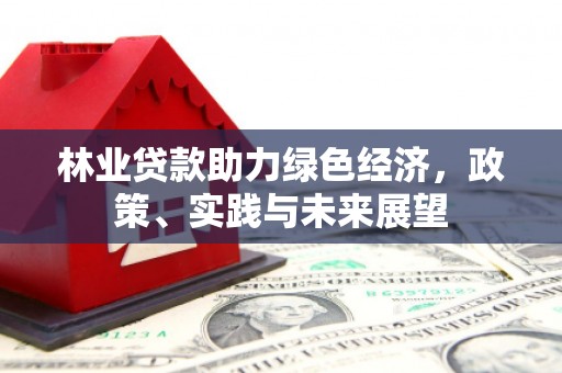 怀远林业贷款助力绿色经济，政策、实践与未来展望