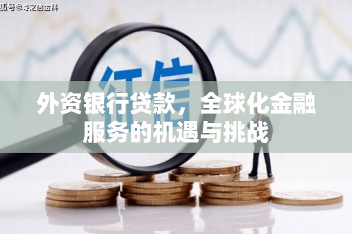 怀远外资银行贷款，全球化金融服务的机遇与挑战