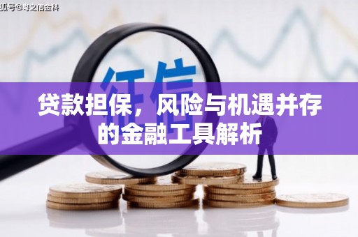 怀远贷款担保，风险与机遇并存的金融工具解析