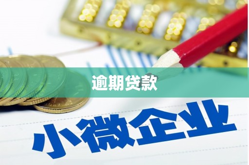 怀远逾期贷款